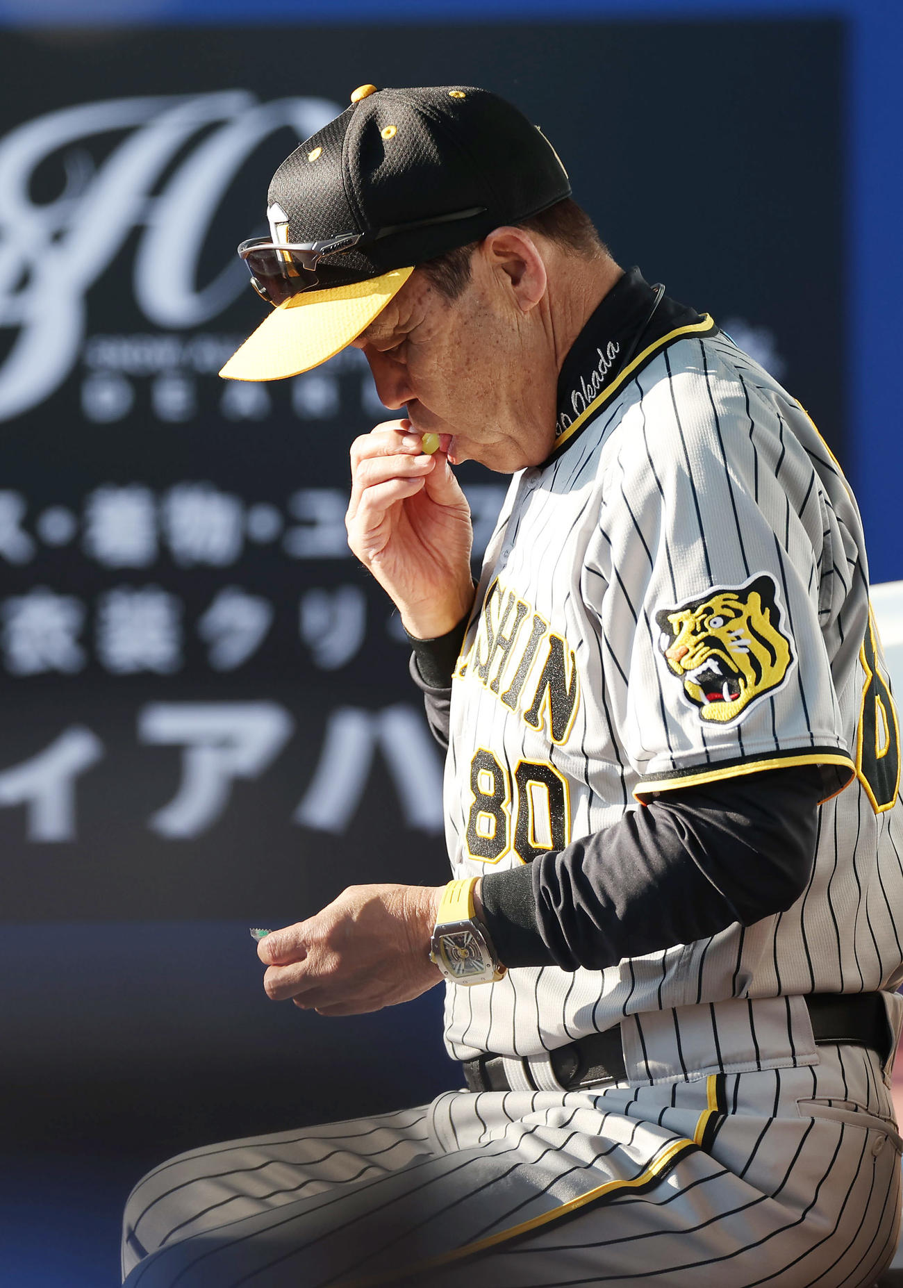 ロッテ対阪神　10回表の攻撃を前にベンチでパインアメを口にする阪神岡田監督（撮影・前田充）