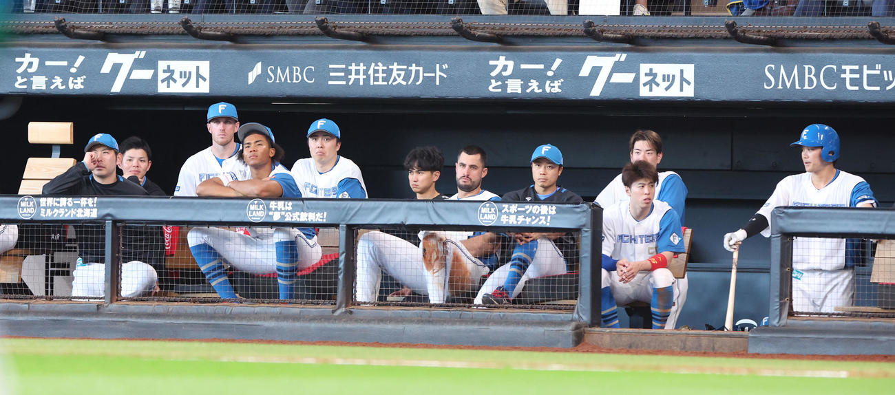 日本ハム対DeNA　意気消沈の日本ハムベンチ（撮影・佐藤翔太）