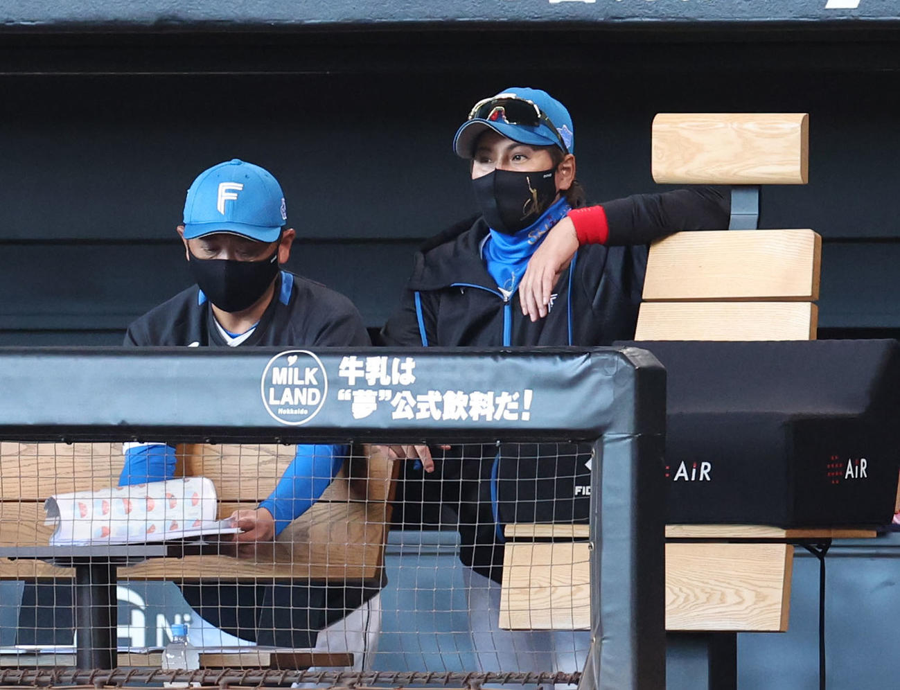日本ハム対DeNA　ベンチからグラウンドを見つめる日本ハム新庄監督（撮影・佐藤翔太）