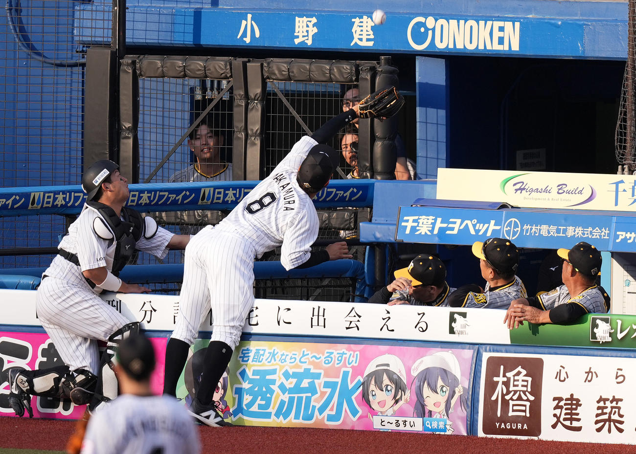 ロッテ対阪神　11回表阪神2死一塁、熊谷の打球を好捕する三塁手中村奨（左から2人目）。中央は岡田監督（撮影・鈴木みどり）