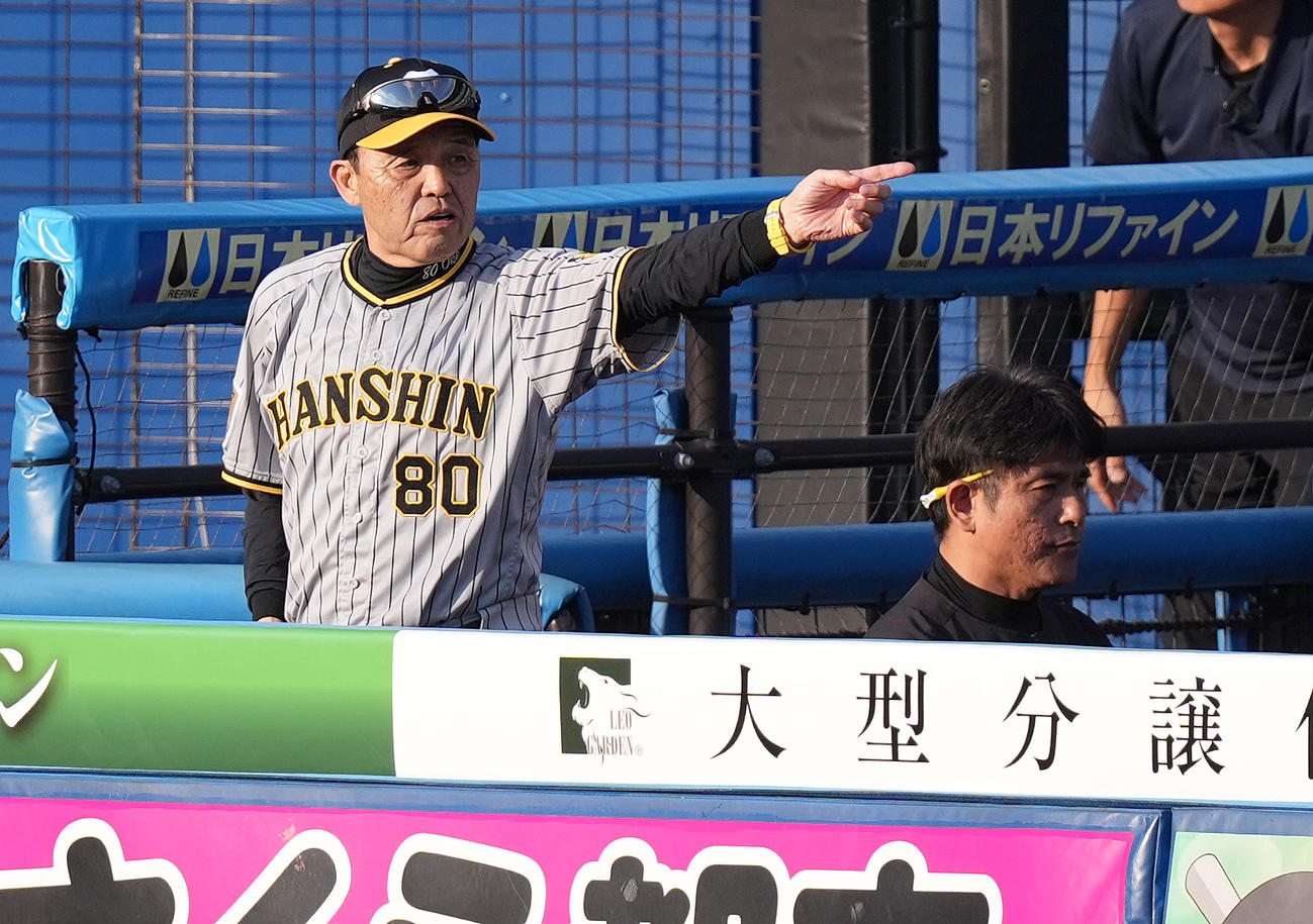 ロッテ対阪神　10回裏の選手交代を告げる前、指示を出す阪神岡田監督（左）（撮影・鈴木みどり）