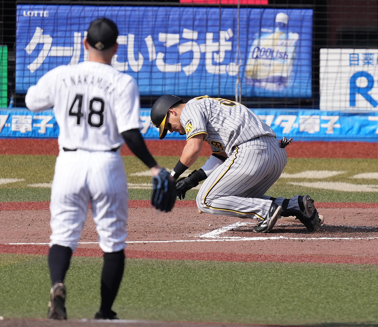 ロッテ対阪神　6回表阪神2死満塁、押し出し死球を受け倒れ込む前川。投手中村稔（撮影・鈴木みどり）