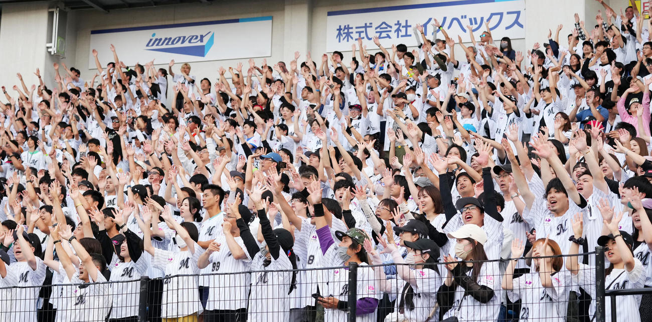ロッテ対阪神　11連勝を決め歓喜するロッテファン（撮影・横山健太）