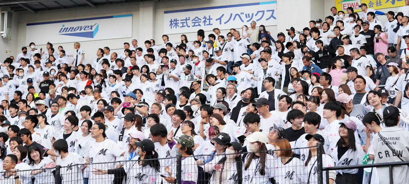 ロッテ対阪神　11連勝を決め歓喜するロッテファン（撮影・横山健太）