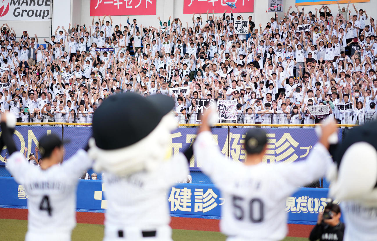 ロッテ対阪神　11連勝を決め歓喜するロッテファン（撮影・横山健太）