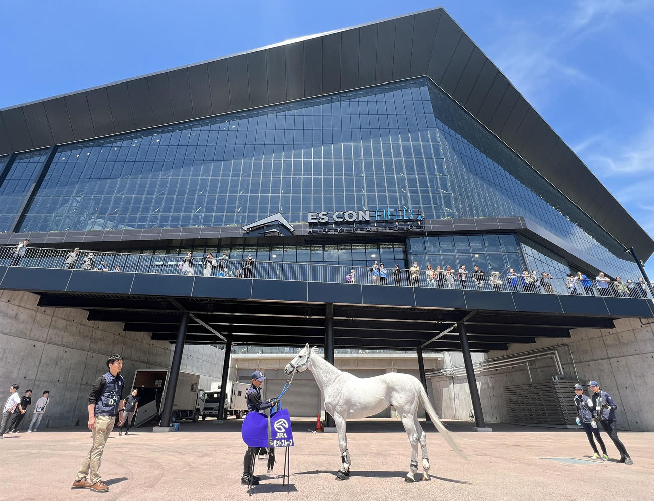 日本ハム対DeNA　エスコンフィールド北海道に来場するDeNA三浦監督の愛馬リーゼントブルース（撮影・佐藤翔太）