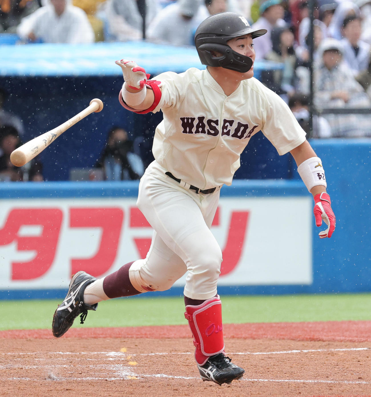 早大対慶大　5回表早大無死、右越え本塁打を放つ尾瀬（撮影・野上伸悟）