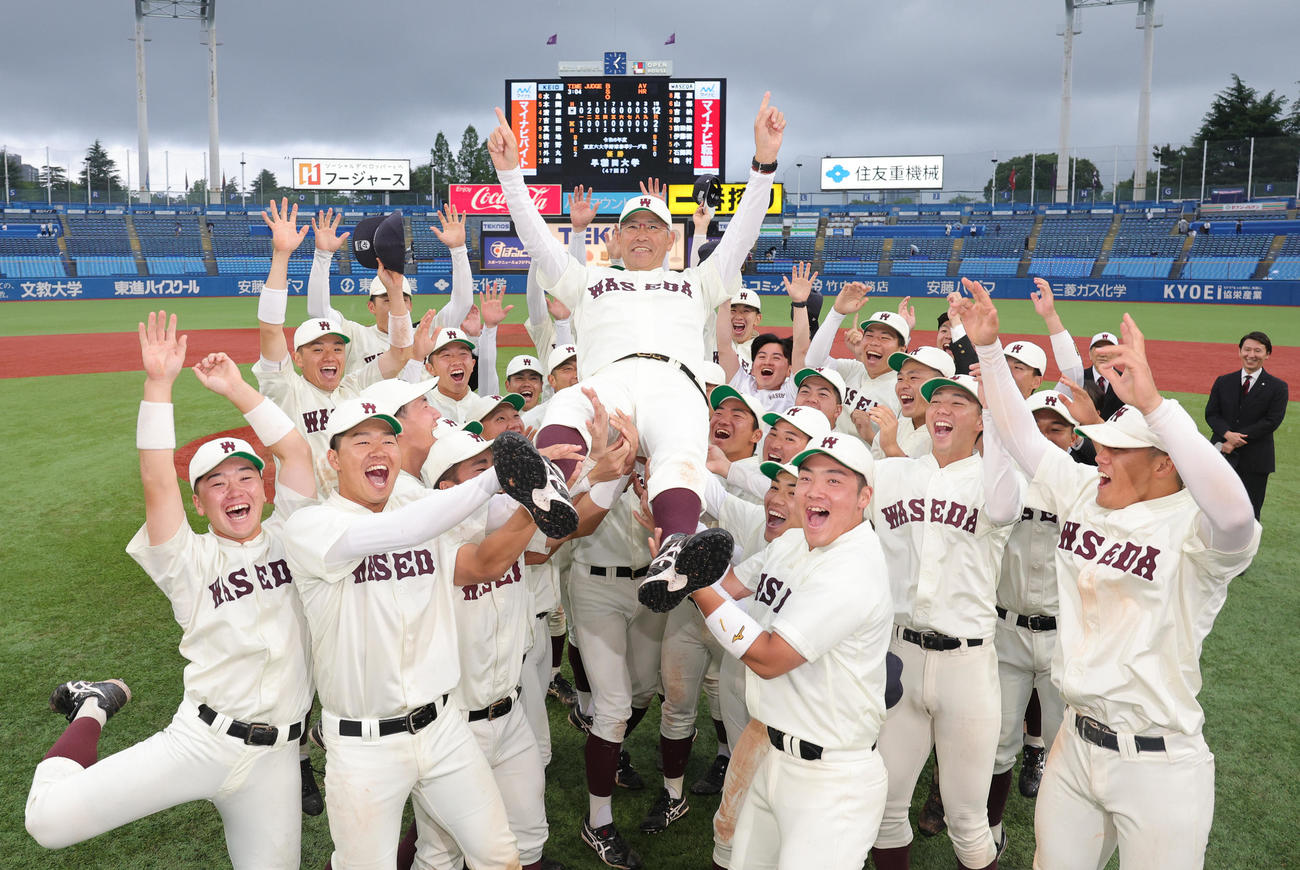 早大対慶大　優勝し胴上げされる早大・小宮山監督（撮影・野上伸悟）
