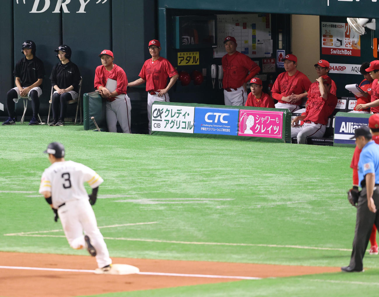 ソフトバンク対広島　延長10回裏ソフトバンク2死一塁、近藤に右越えサヨナラ2点本塁打を浴びガックリの新井監督（撮影・梅根麻紀）