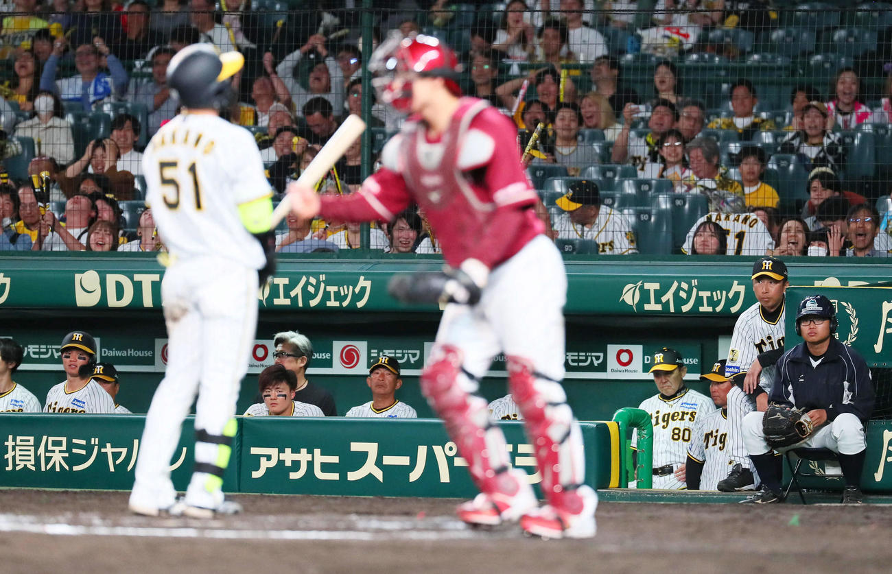 阪神対楽天　10回裏阪神2死一、三塁、岡田監督（右から3人目）は中野の空振り三振を見つめる（撮影・宮崎幸一）