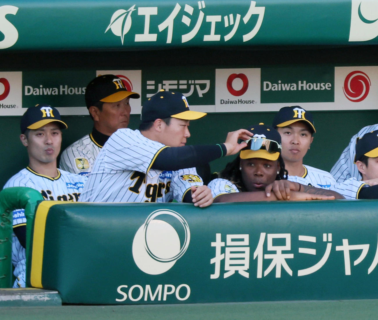 阪神対楽天　試合開始直前、ベンチに座るミエセス（右）のサングラスを借りる大山（撮影・加藤哉）