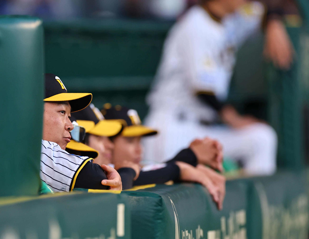 阪神対楽天　ベンチで戦況を見守る大山（撮影・上田博志）