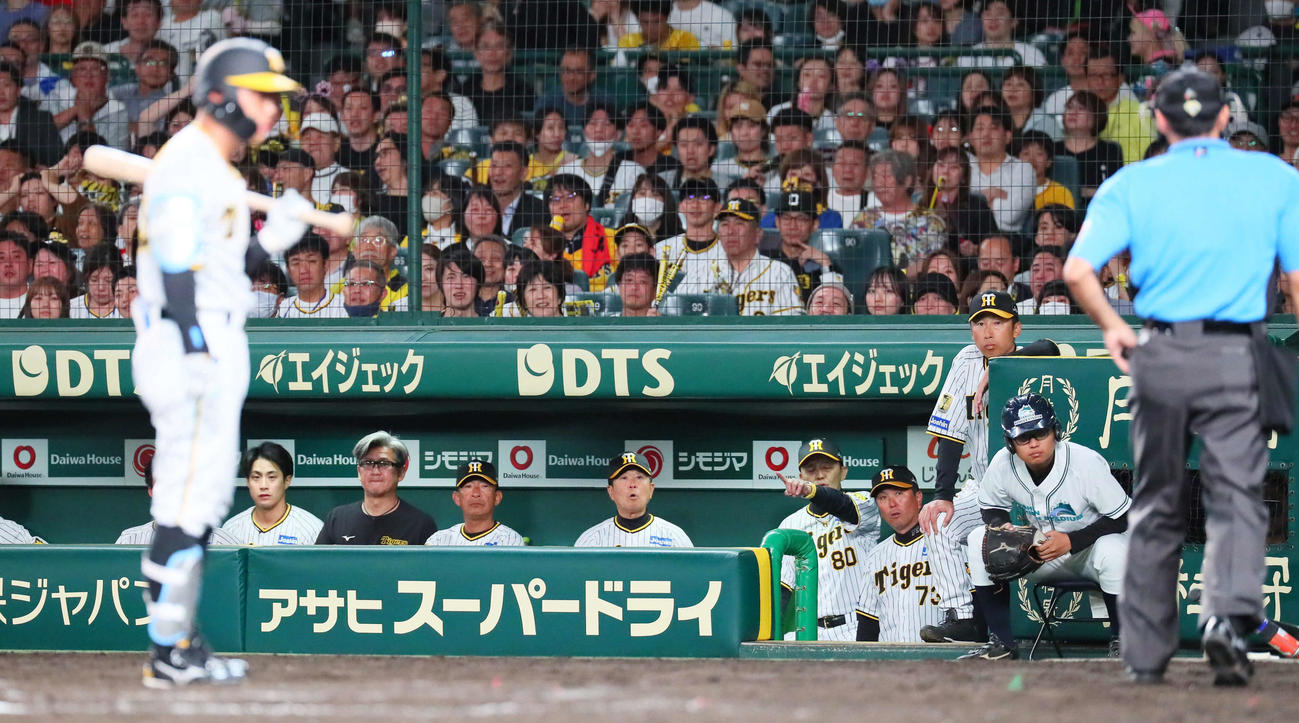 阪神対楽天　9回裏阪神2死、糸原の見逃し三振に抗議する岡田監督（撮影・宮崎幸一）