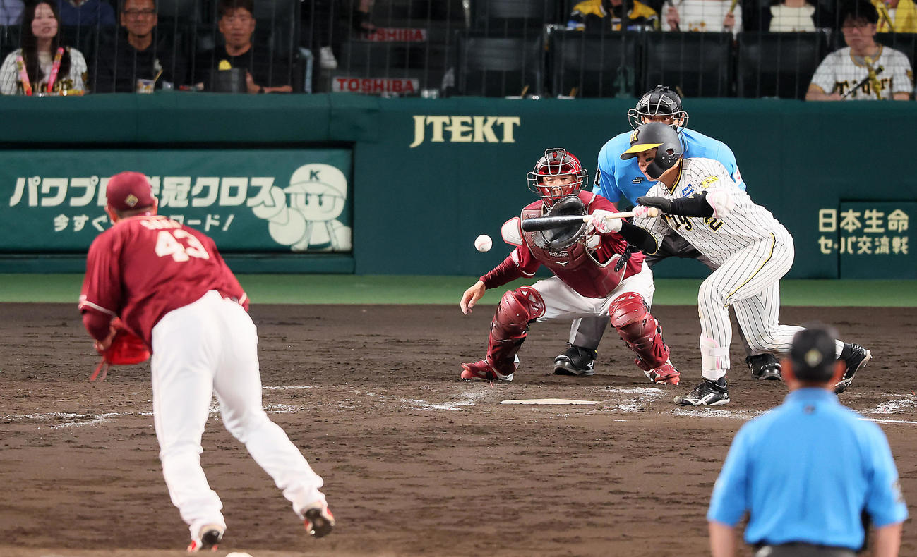 阪神対楽天　8回裏阪神無死一塁、梅野は犠打を決める。投手は宋（撮影・加藤哉）