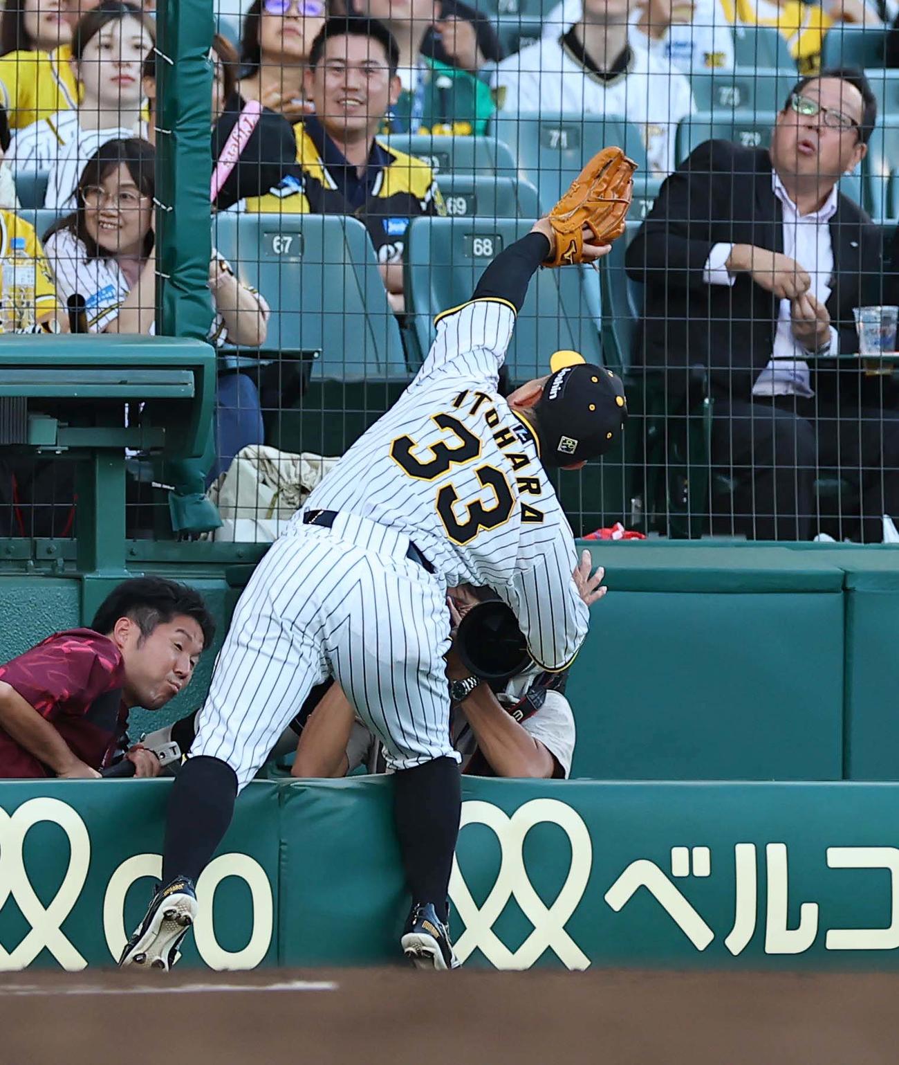 阪神対楽天　3回表楽天2死一塁、糸原は鈴木大の三邪飛を好捕する（撮影・上田博志）