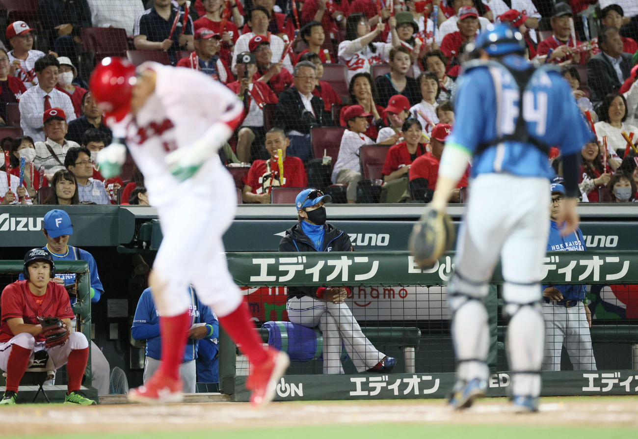 広島対日本ハム　8回裏広島2死満塁、会沢への押し出し四球で小園が生還」。中央はベンチの新庄監督（撮影・加藤孝規）