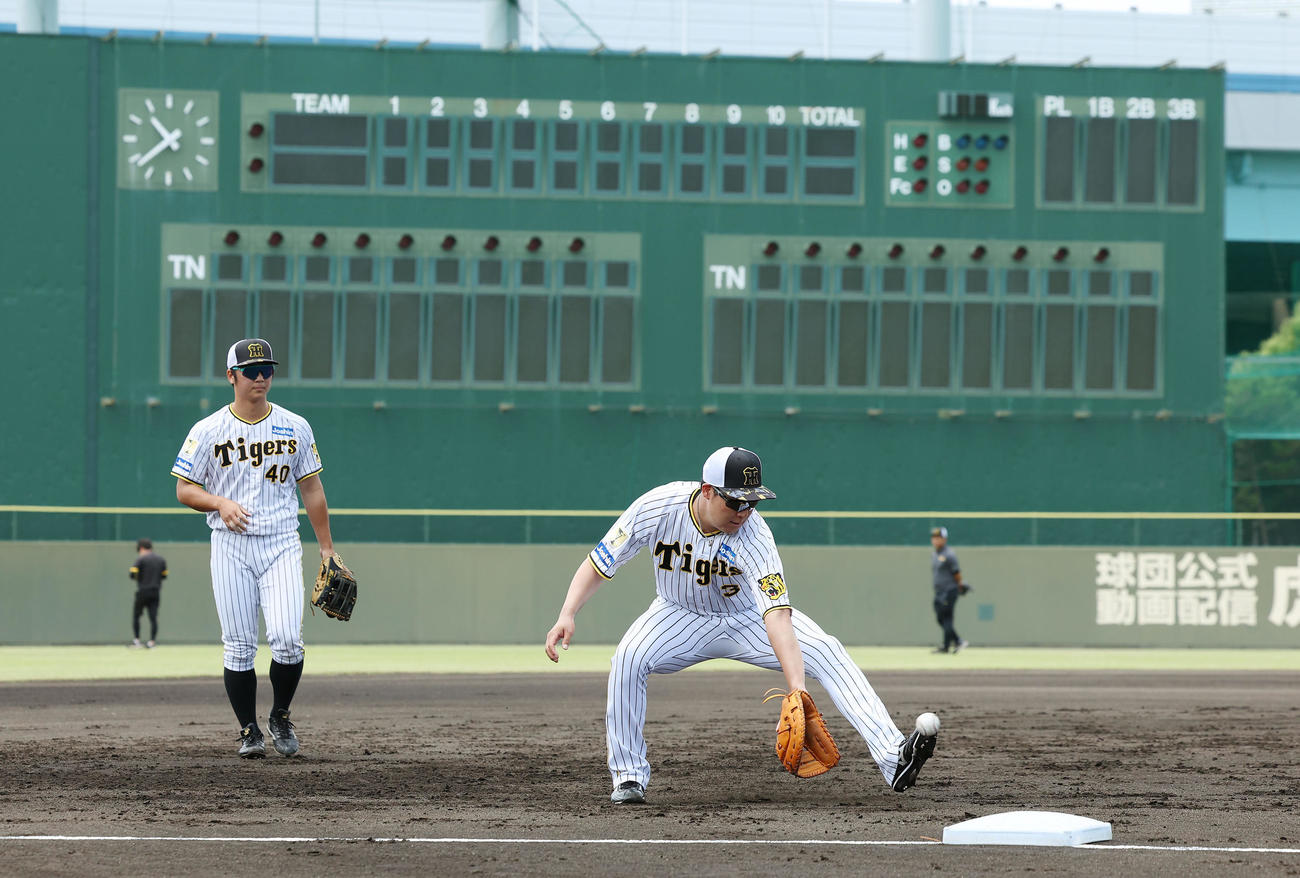 阪神対日本ハム　三塁でノックを受ける阪神大山。左は井坪（撮影・前田充）
