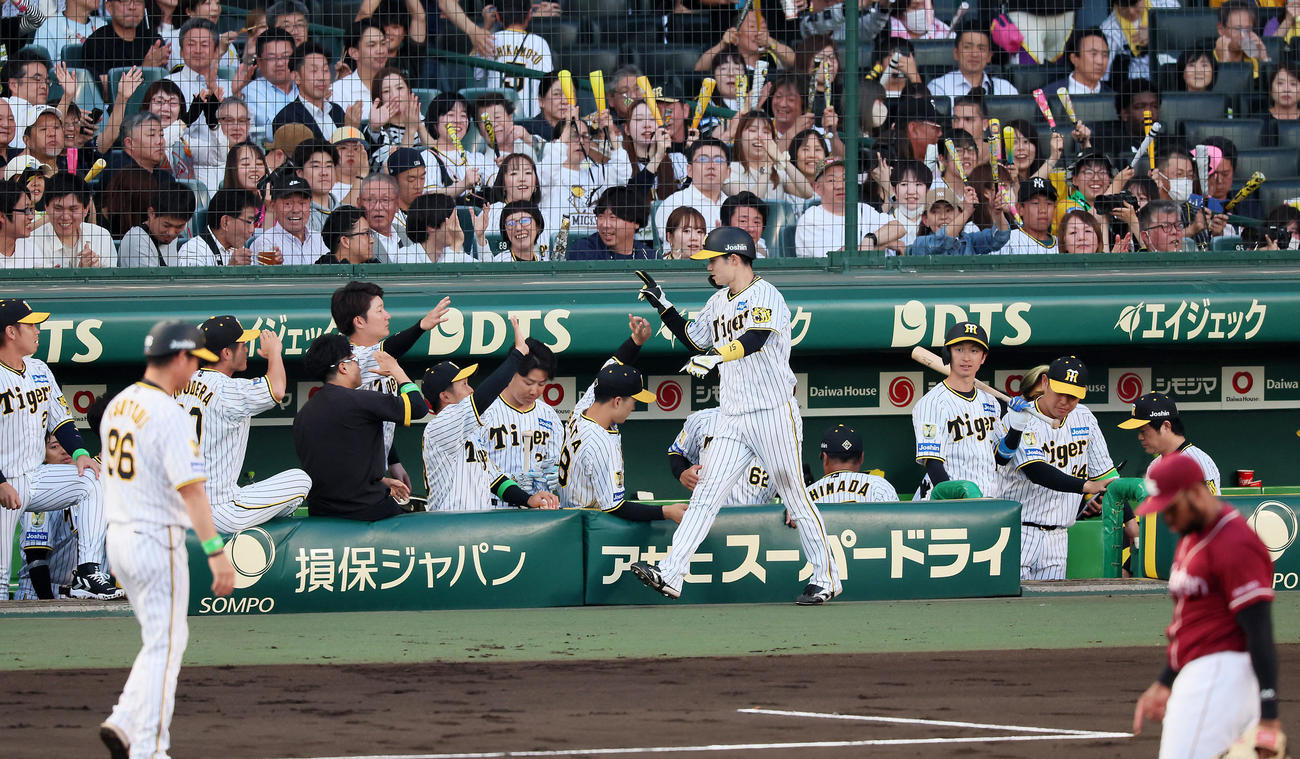 阪神対楽天　3回裏阪神2死一塁、前川の中適時二塁打で生還した一塁走者中野はベンチのナインとタッチする（撮影・加藤哉）