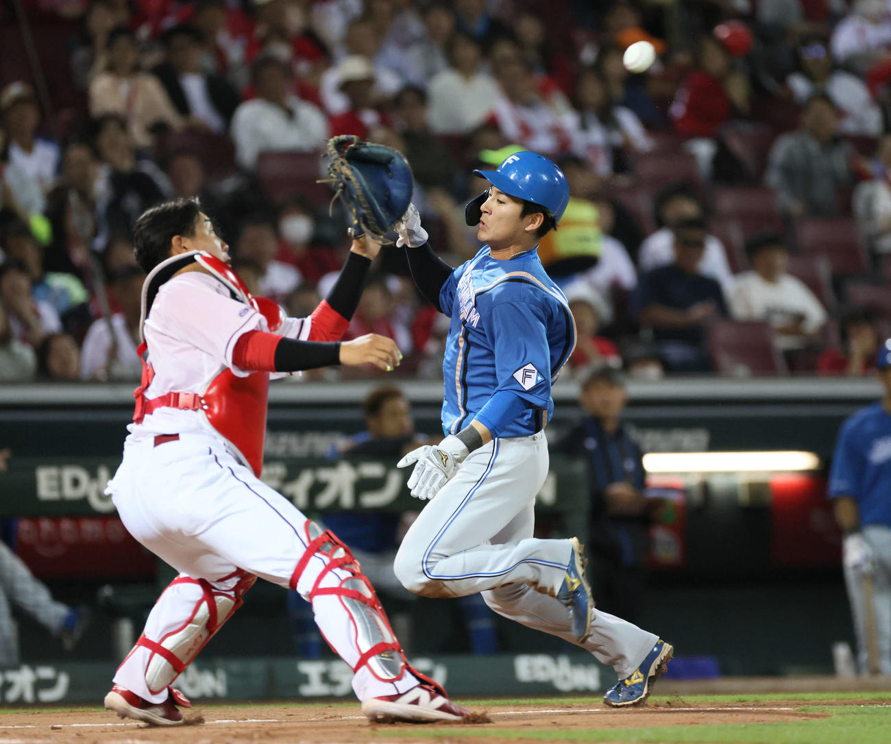 広島対日本ハム　7回表日本ハム無死三塁、水谷の右犠飛で水野が生還。捕手は石原（撮影・加藤孝規）