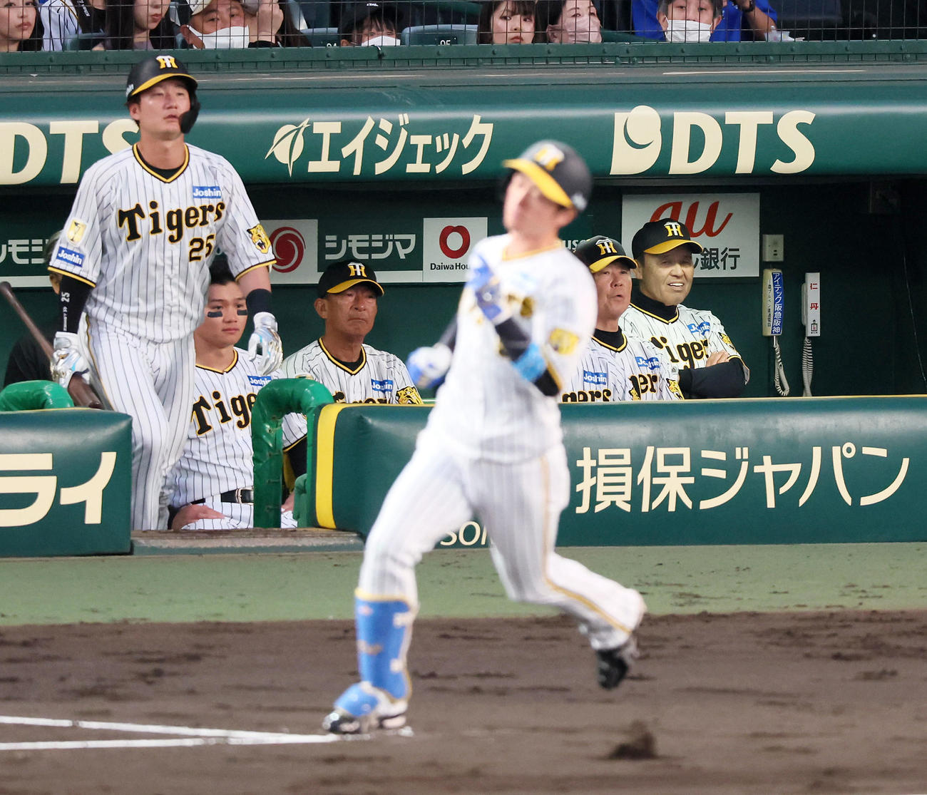 阪神対楽天　4回裏阪神1死、近本の遊飛をベンチから見る岡田監督。左は渡辺（撮影・加藤哉）