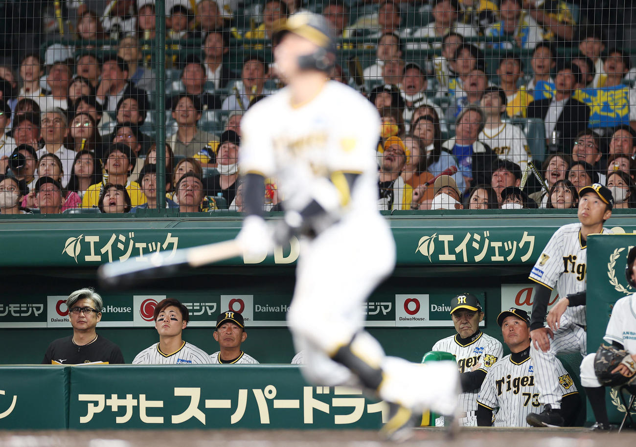 阪神対楽天　9回裏阪神2死一塁、三飛に倒れる原口（手前）を厳しい表情で見つめる岡田監督（右から3人目）（撮影・前田充）