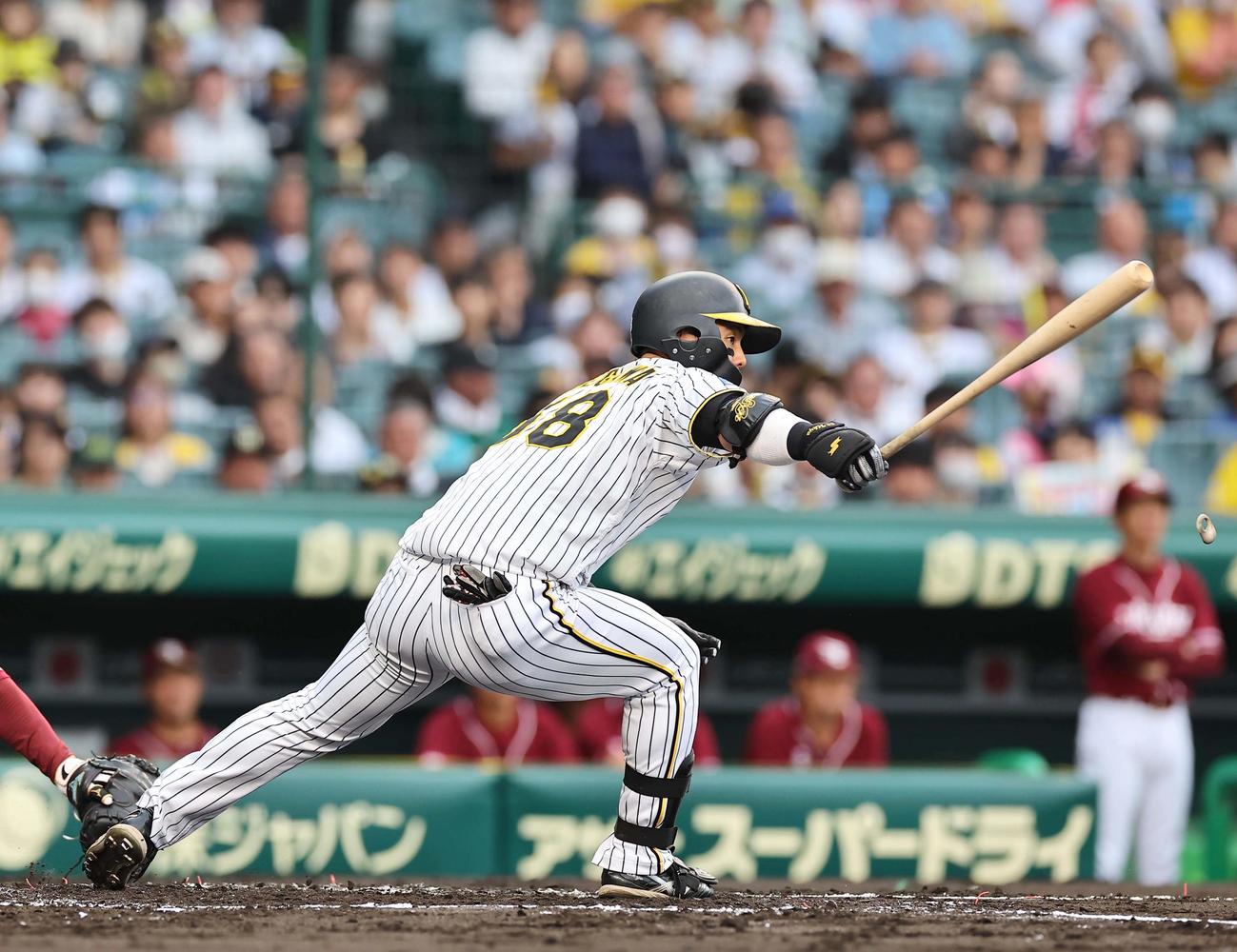 阪神対楽天　1回裏阪神1死、前川は右飛に倒れる（撮影・上田博志）