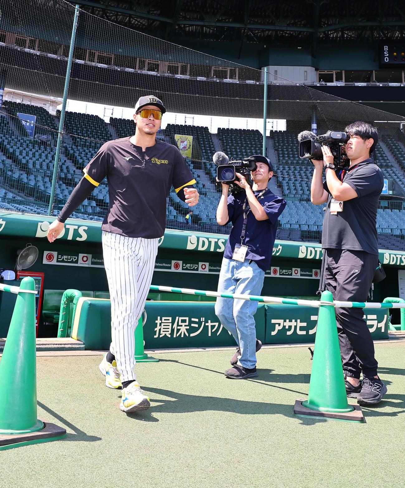 1軍に合流した佐藤輝は甲子園球場のグラウンドに入る（撮影・上田博志）