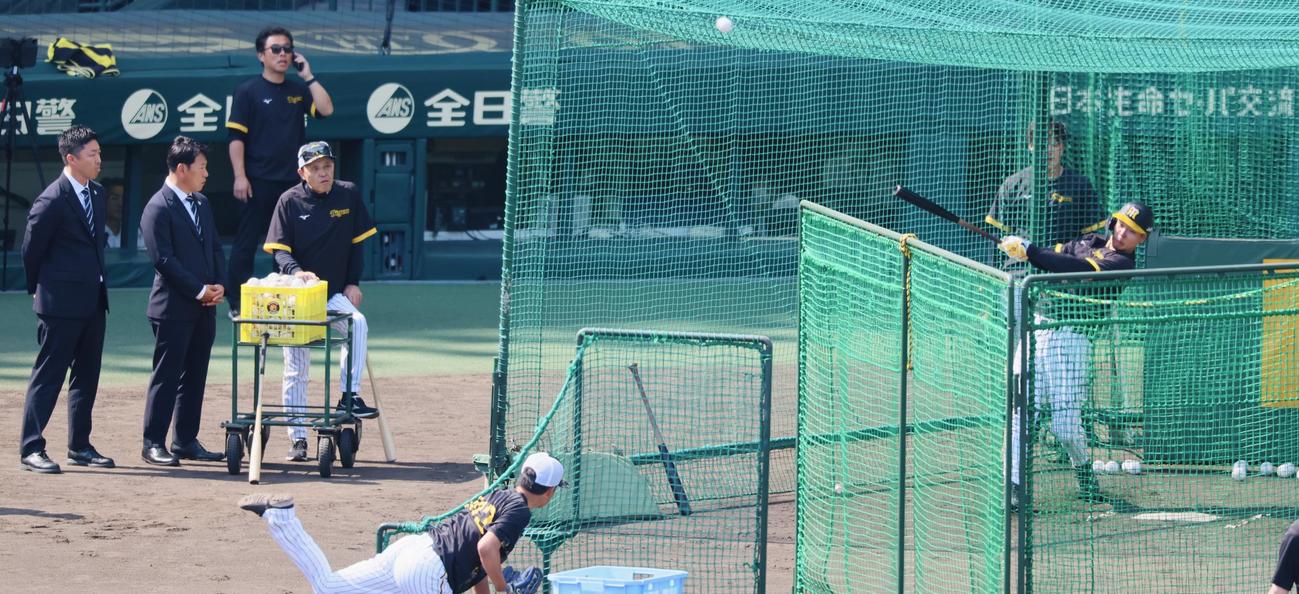 阪神対西武　佐藤輝の打撃練習を見る左から侍ジャパンの吉見コーチ、井端監督、阪神岡田監督（撮影・加藤哉）