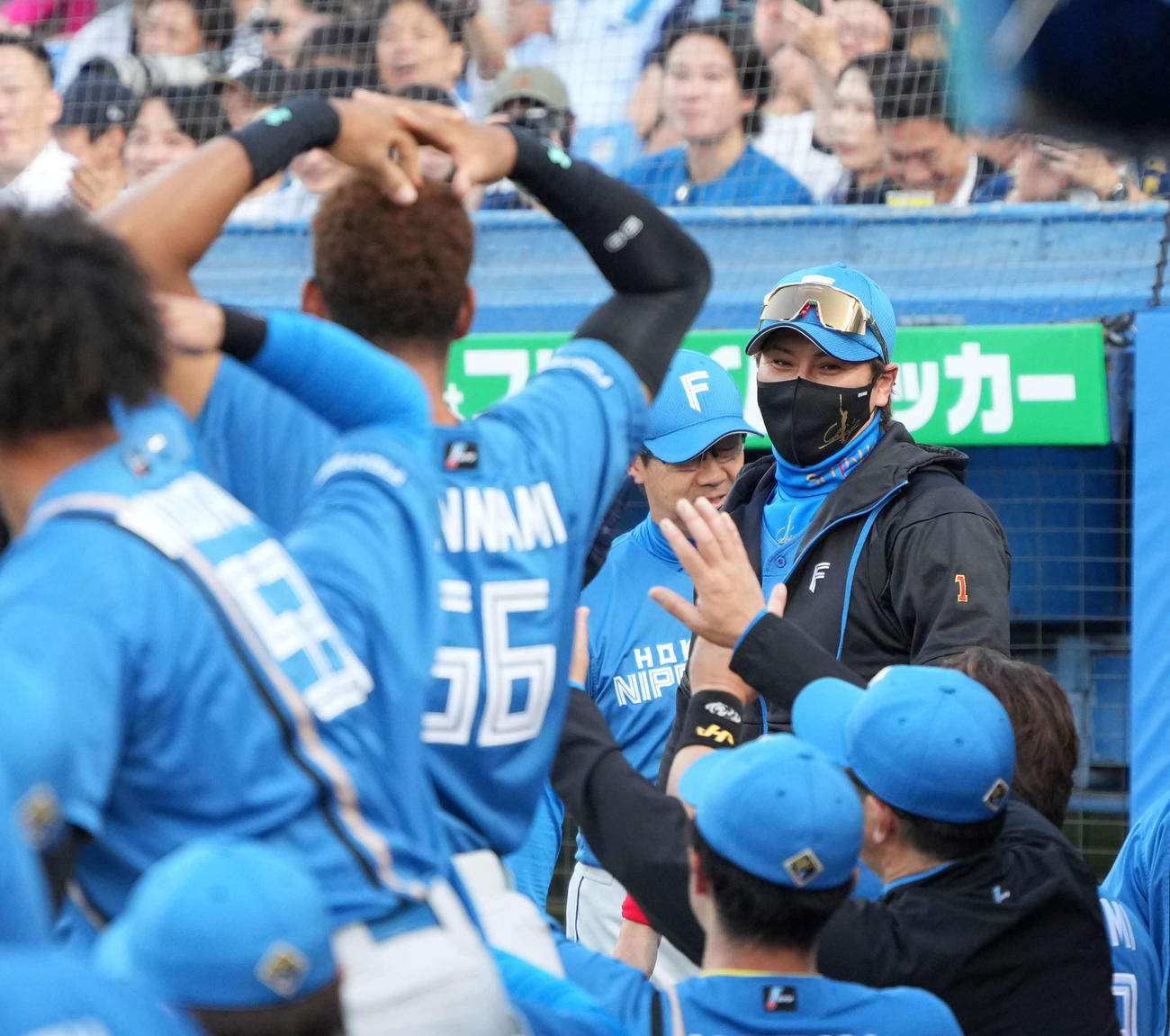 ヤクルト対日本ハム　1回表日本ハム2死、マルティネスの左越え2者連続本塁打を祝福する新庄監督（撮影・小沢裕）