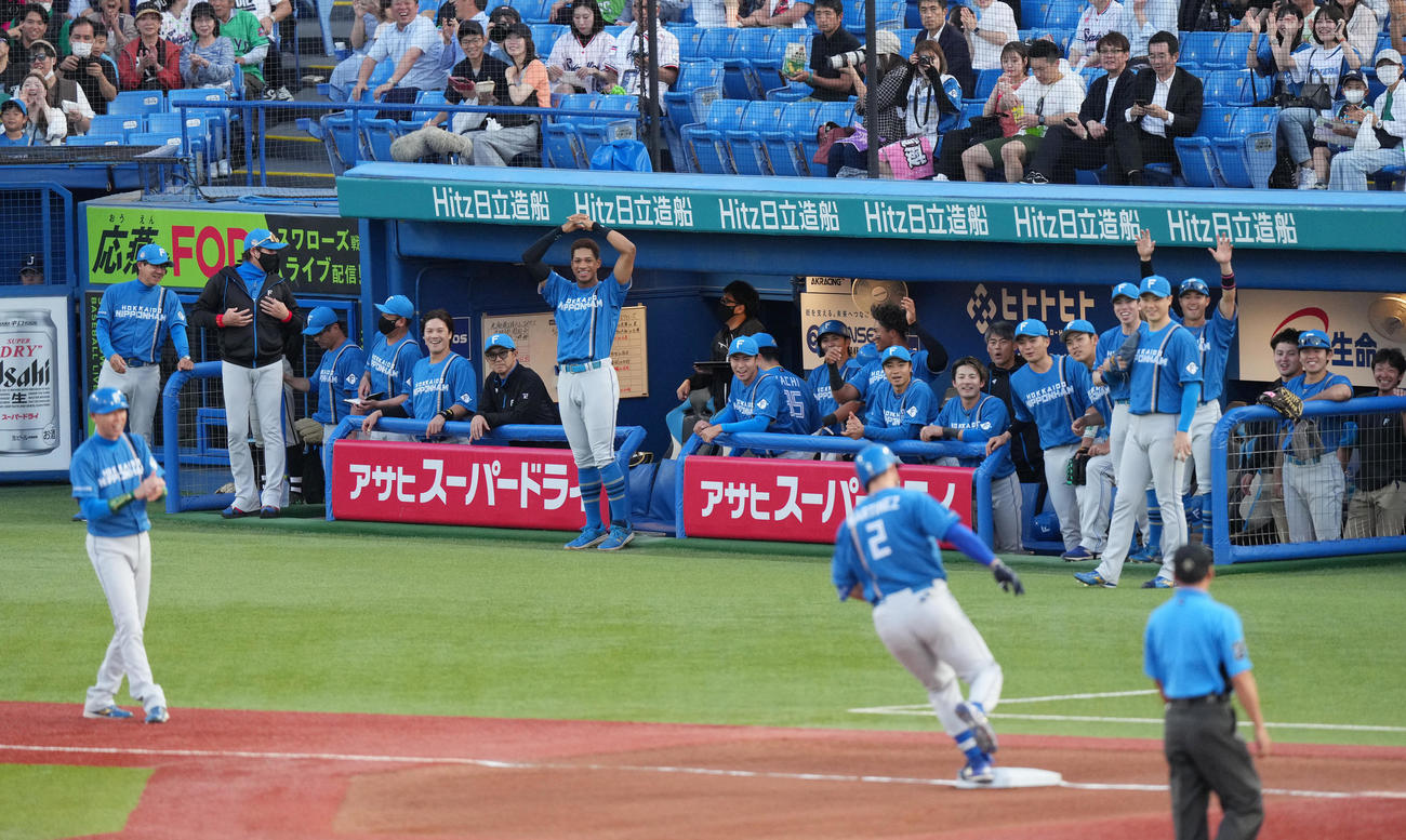 ヤクルト対日本ハム　1回表日本ハム2死、マルティネス（手前）のソロ本塁打に盛り上がる日本ハムナイン（撮影・菅敏）