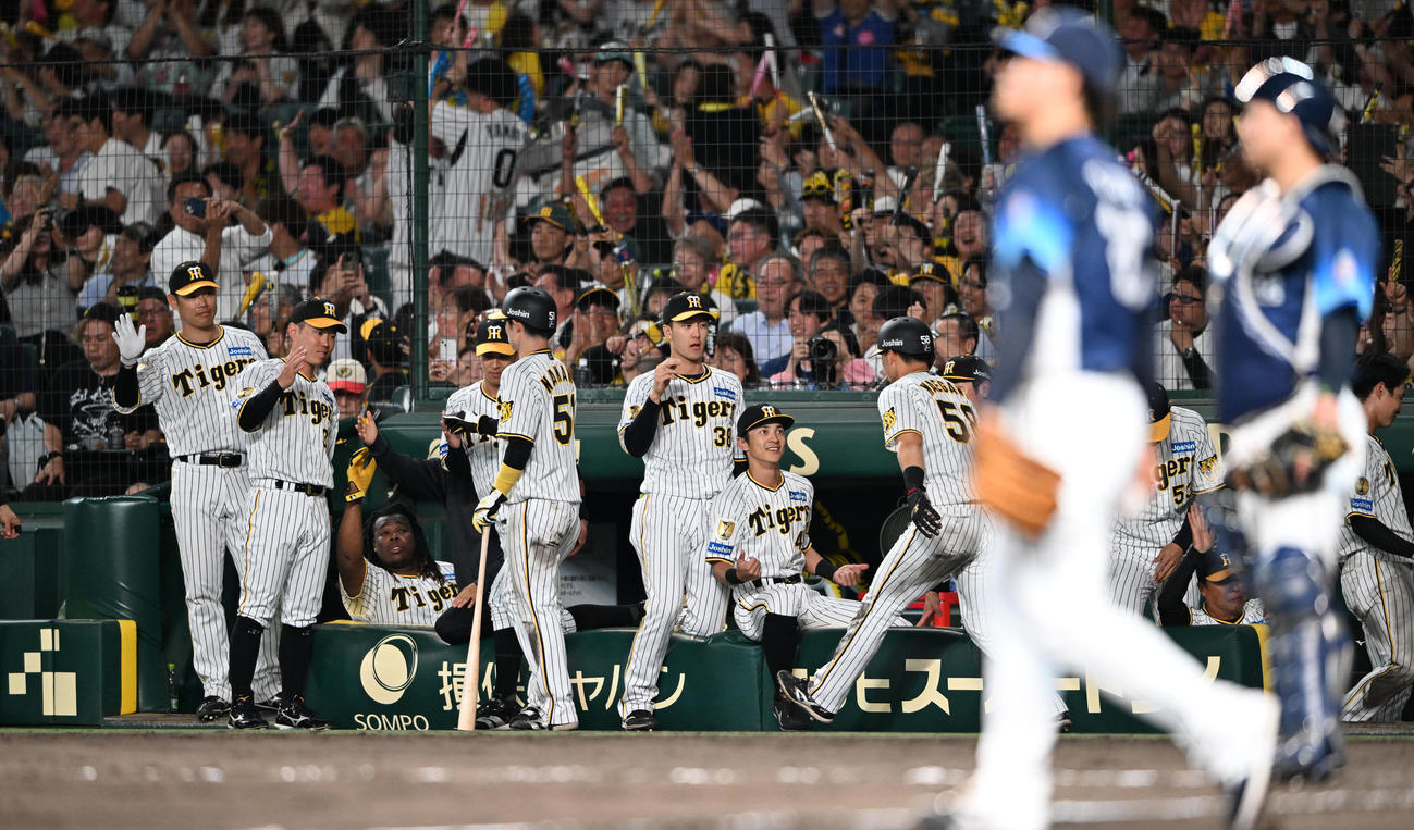 阪神対西武　6回裏阪神2死二、三塁、近本の適時三塁打で生還した中野と前川を迎えるナイン（撮影・和賀正仁）