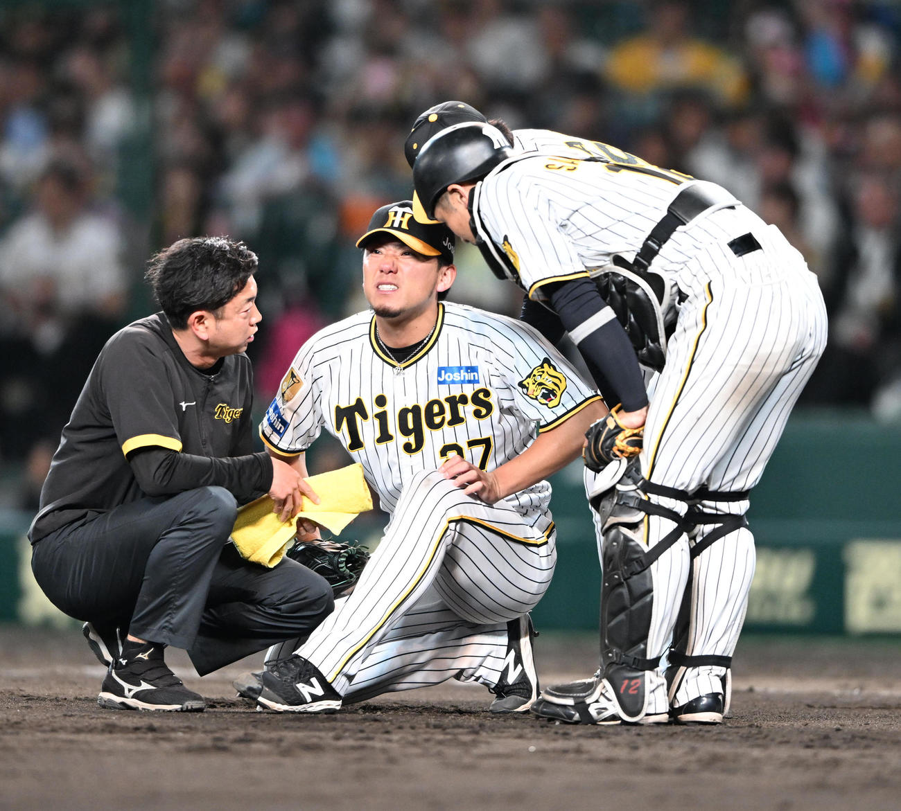 阪神対西武　7回表西武無死、山野辺翔の打球を受け座り込む伊藤将（撮影・和賀正仁）