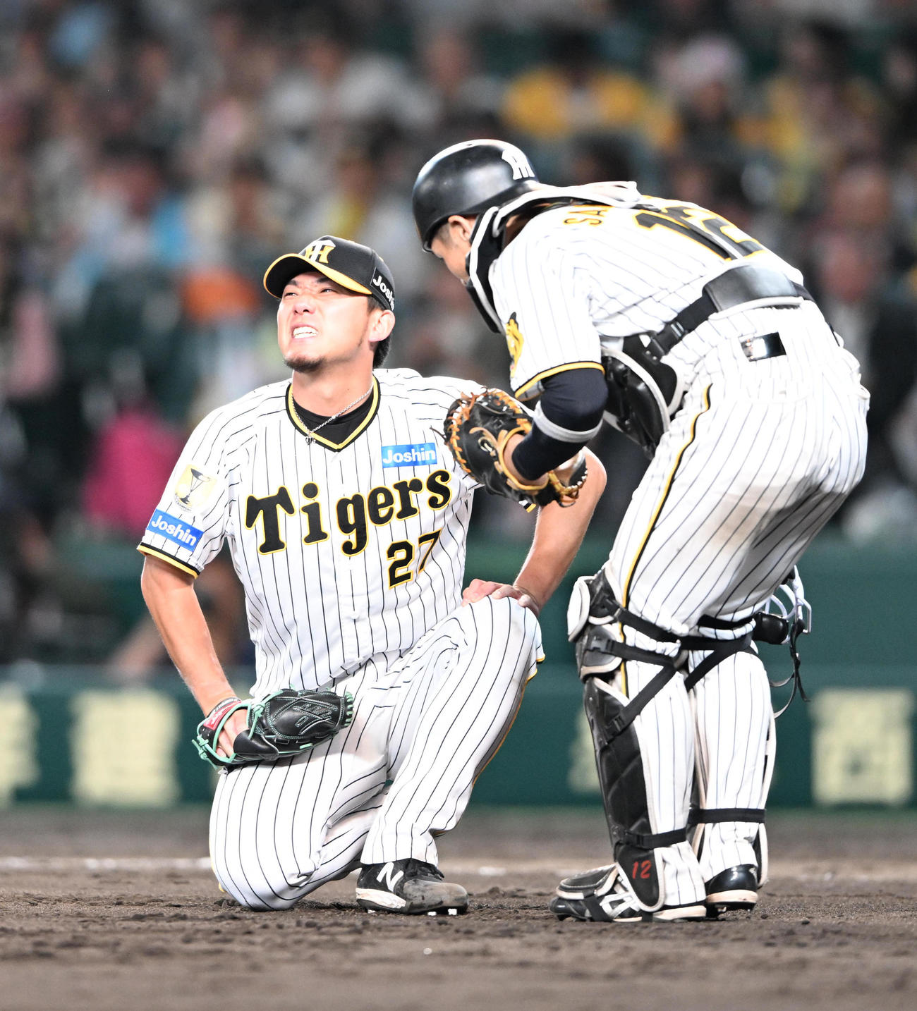 阪神対西武　7回表西武無死、山野辺翔の打球を受け座り込む伊藤将（撮影・和賀正仁）