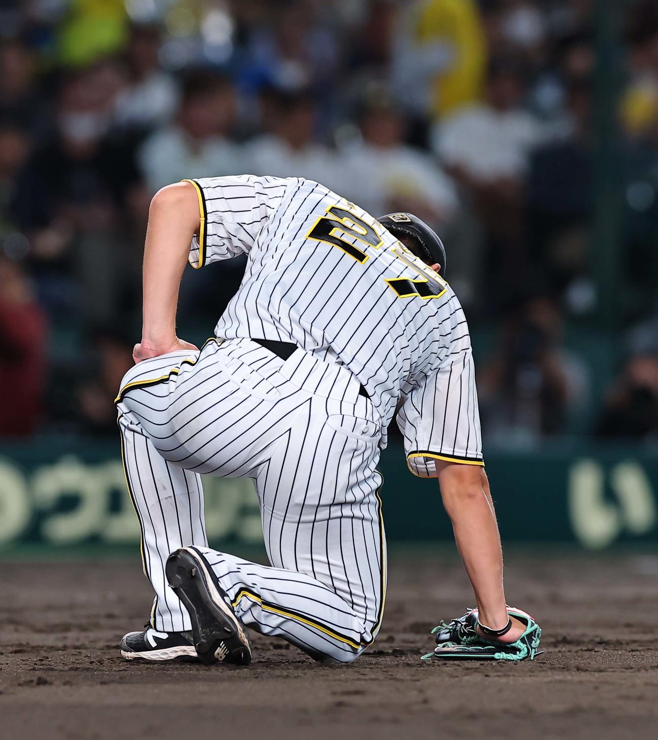 阪神対西武　7回表西武無死、山野辺の打球が足に当たりグラウンドにうずくまる伊藤将（撮影・上田博志）