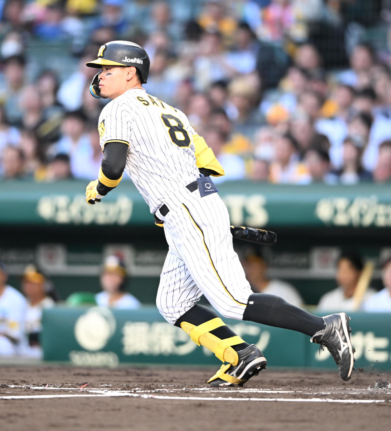 阪神対西武　2回裏阪神無死、中前打を放つ佐藤輝（撮影・和賀正仁）