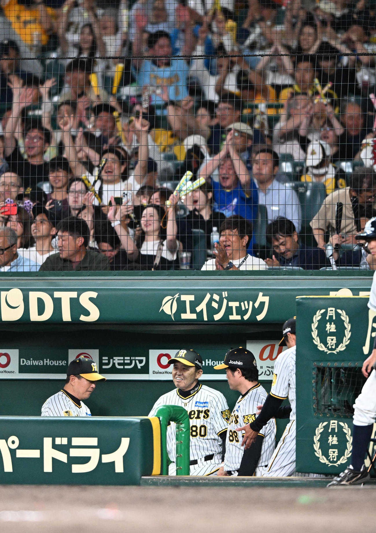 阪神対西武　西武に快勝しベンチで握手を交わす阪神岡田監督（撮影・和賀正仁）