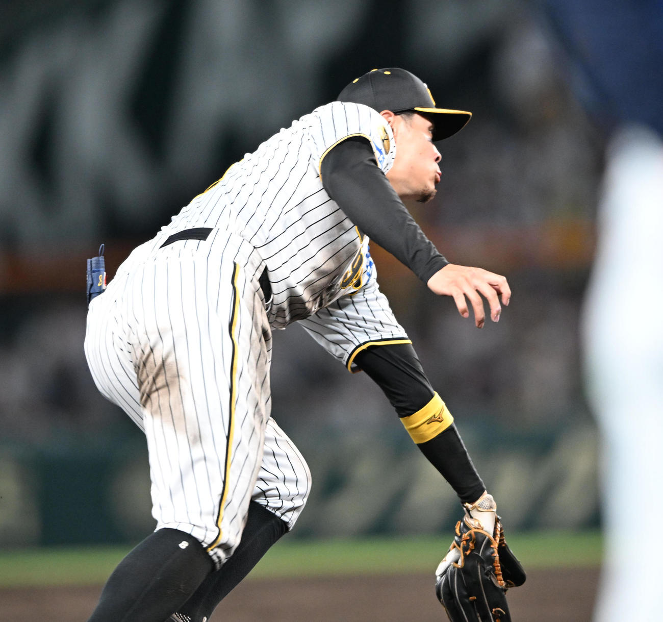 阪神対西武　4回表西武2死、山野辺の打球をさばく佐藤輝（撮影・和賀正仁）