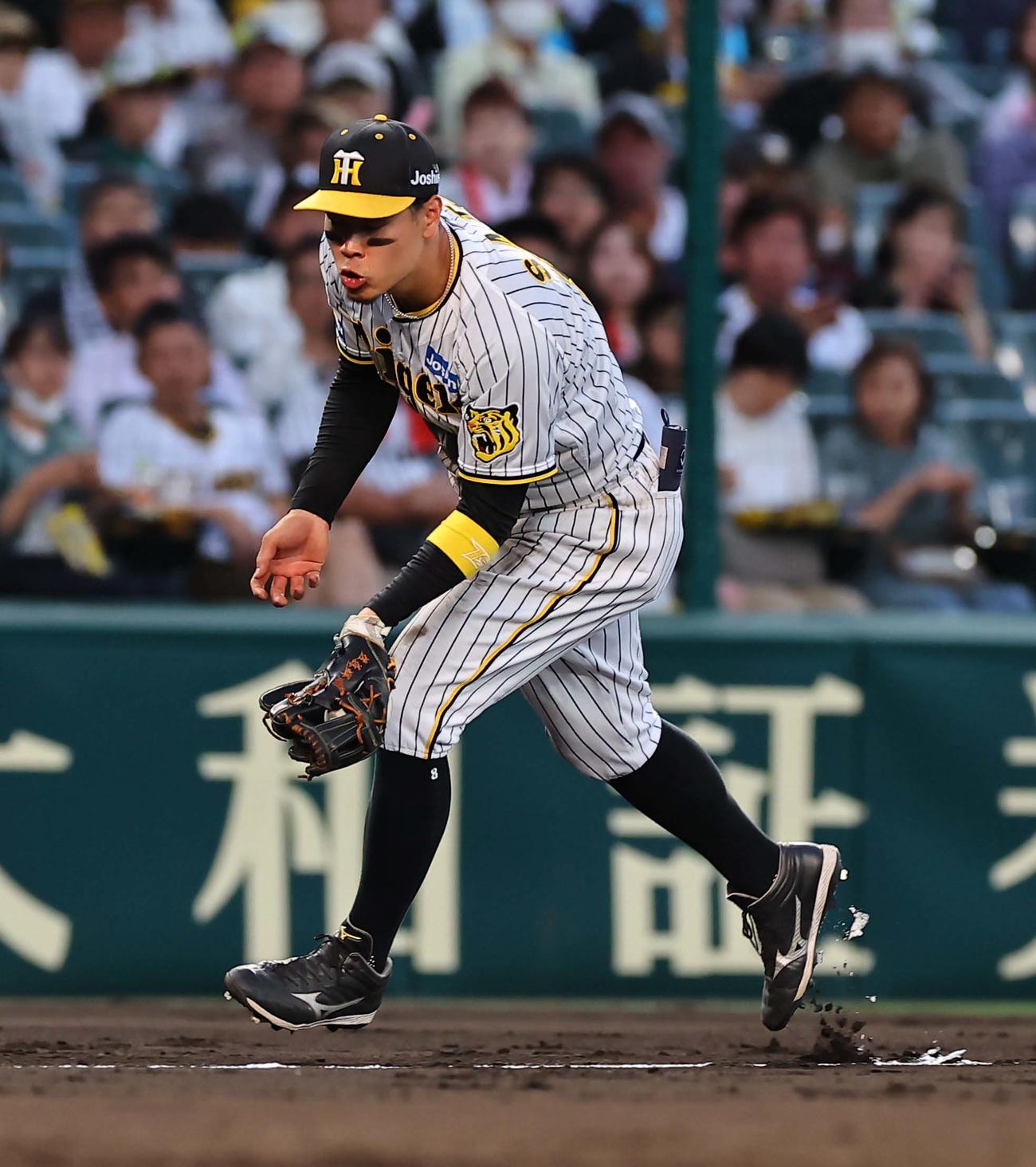阪神対西武　4回表西武無死、佐藤輝明は滝沢の三ゴロをさばく（撮影・上田博志）