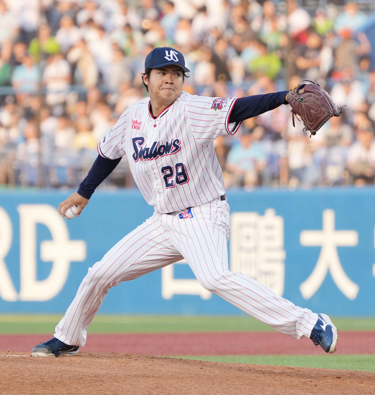 ヤクルト対日本ハム　力投するヤクルト先発の松本健（撮影・小沢裕）
