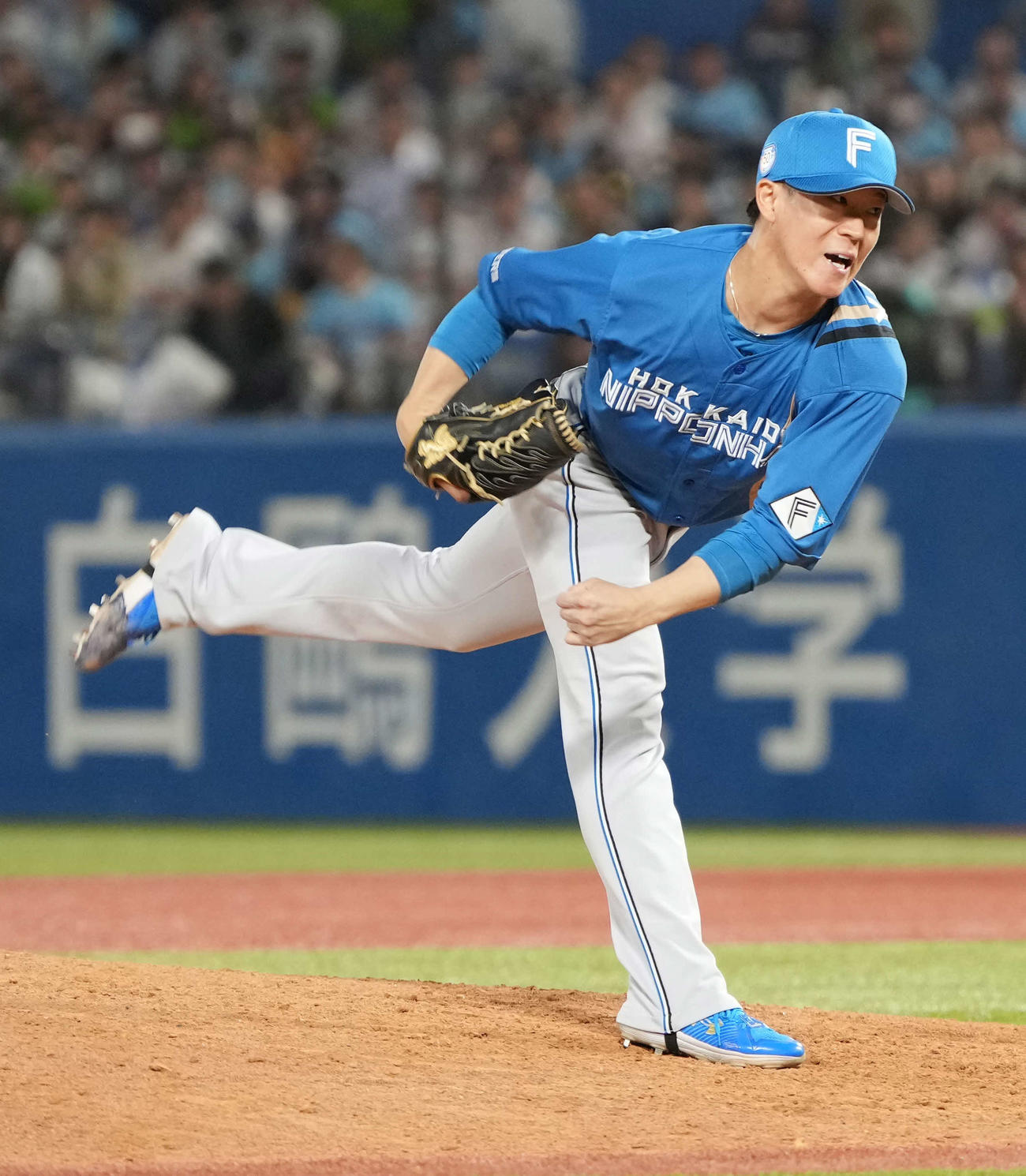 ヤクルト対日本ハム　日本ハム6番手で登板した矢沢（撮影・小沢裕）
