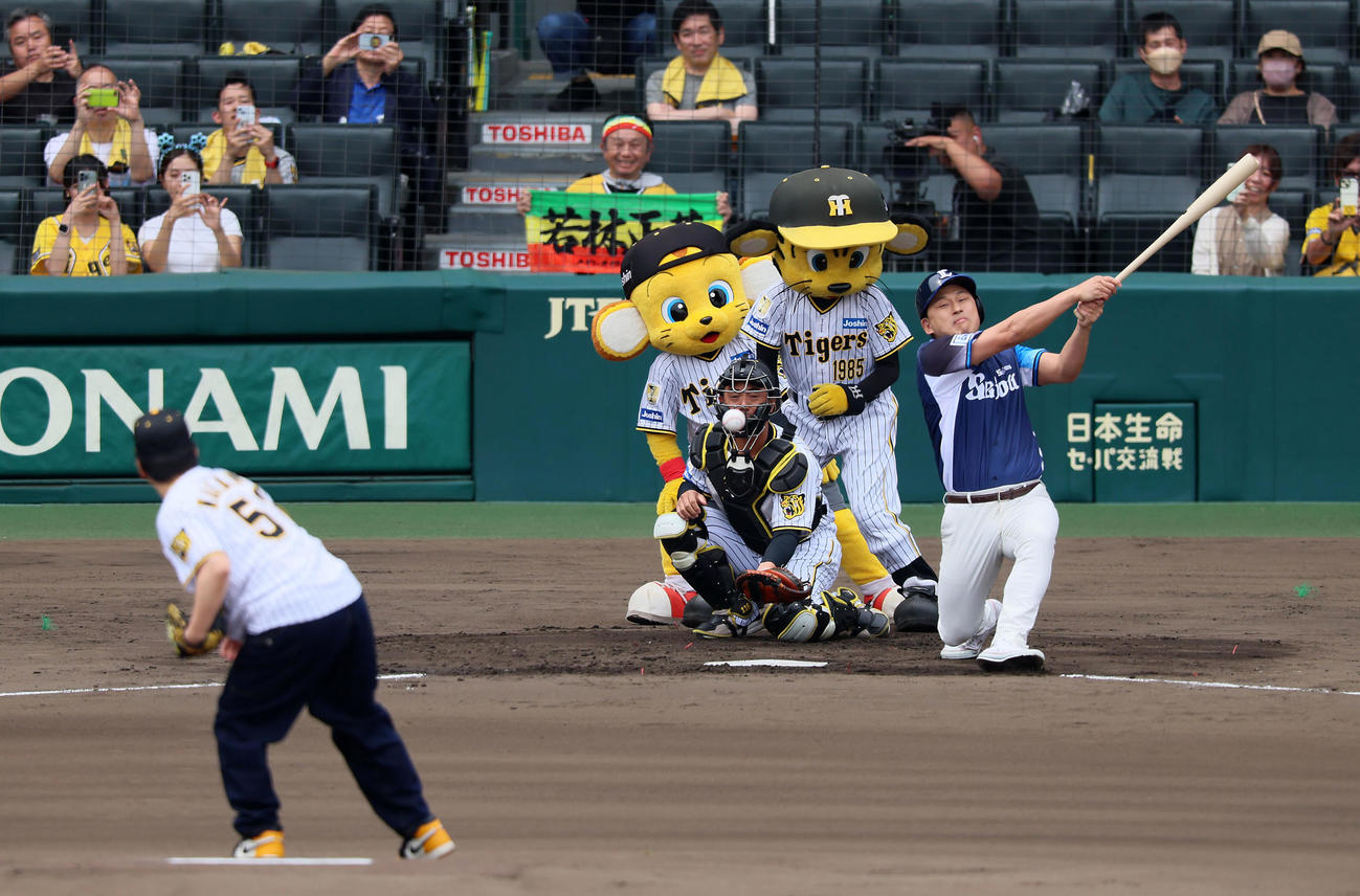 阪神対西武　ファーストピッチセレモニーでオードリーの若林正恭(左）が投げたボールを打ち返す春日俊彰（撮影・加藤哉）