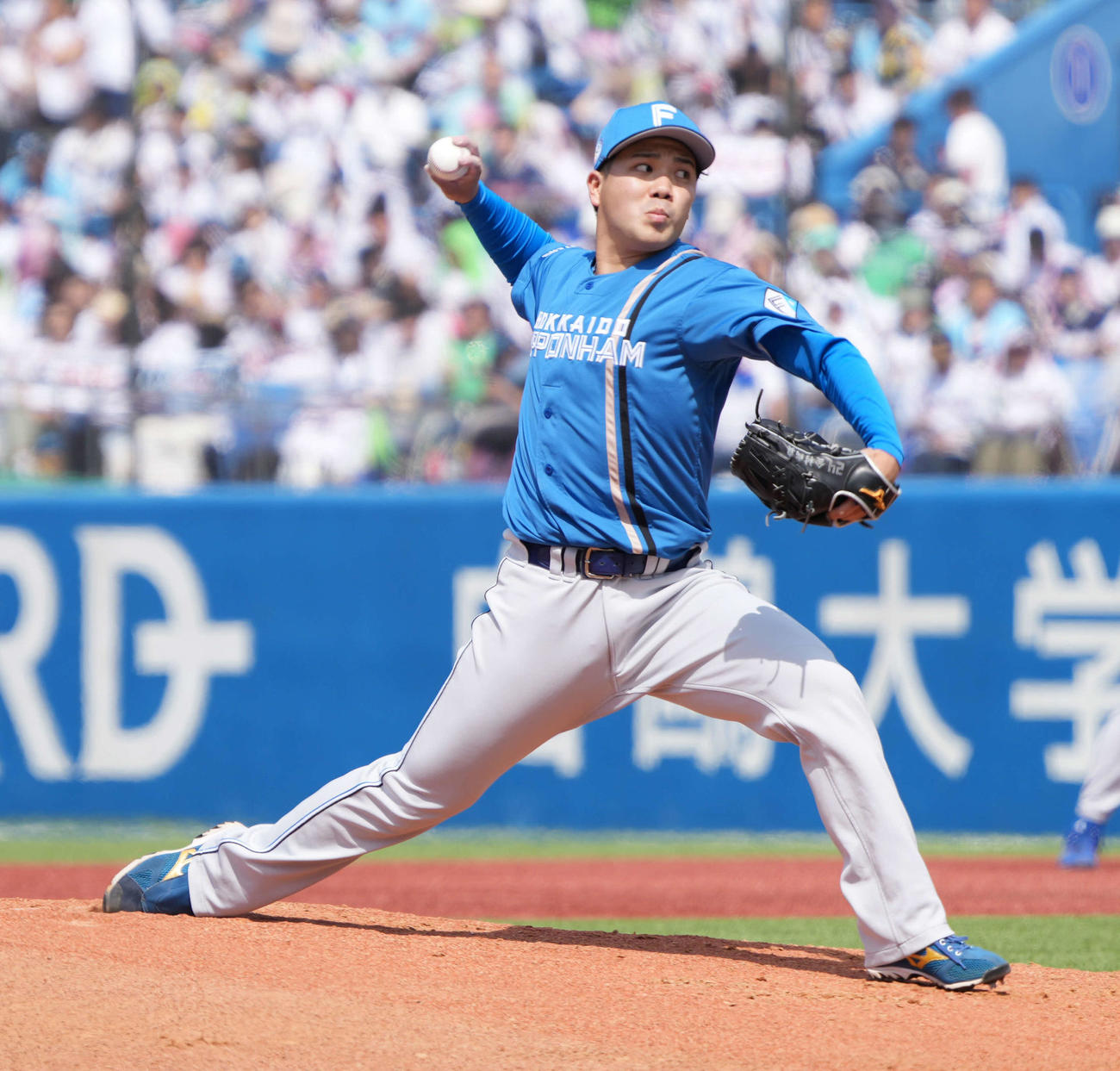 ヤクルト対日本ハム　日本ハム先発の金村（撮影・小沢裕）