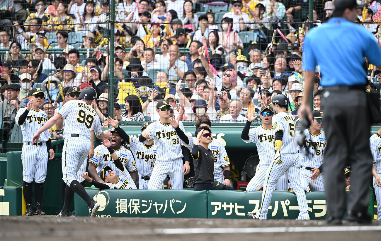 阪神対西武　3回裏阪神2死二、三塁、森下翔太の左前打で生還した中野を迎えるナイン（撮影・和賀正仁）