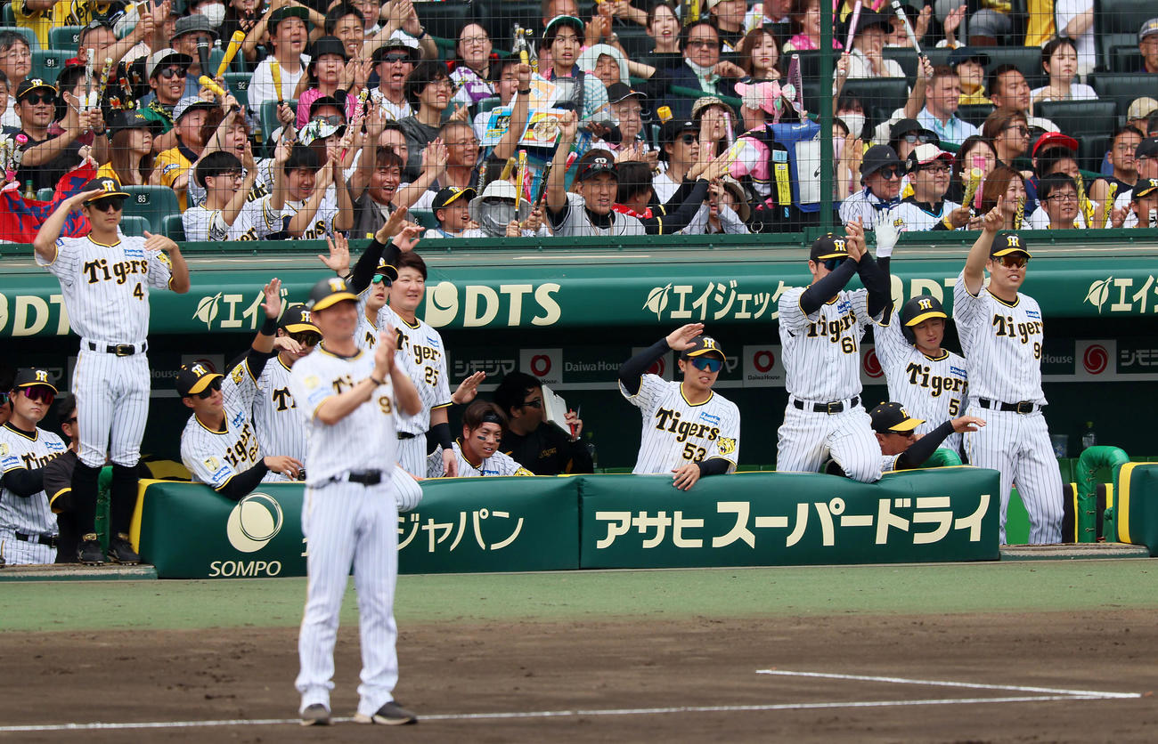 阪神対西武　3回裏阪神1死一、二塁、中野の右適時二塁打に喜ぶベンチのナイン（撮影・加藤哉）