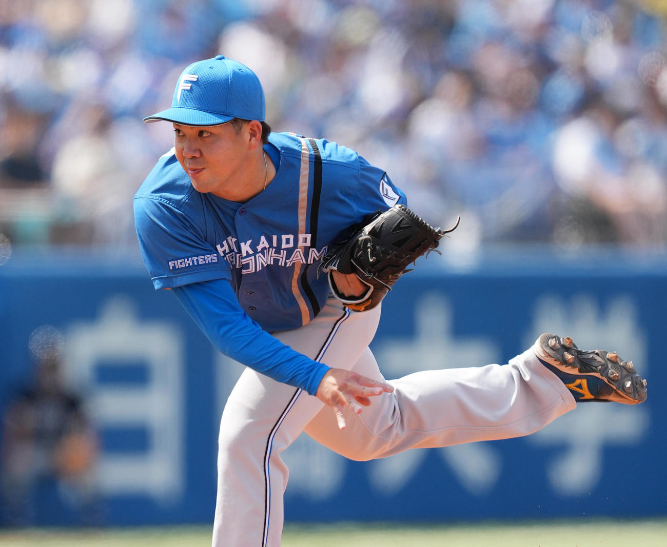 ヤクルト対日本ハム　日本ハム先発の金村（撮影・菅敏）