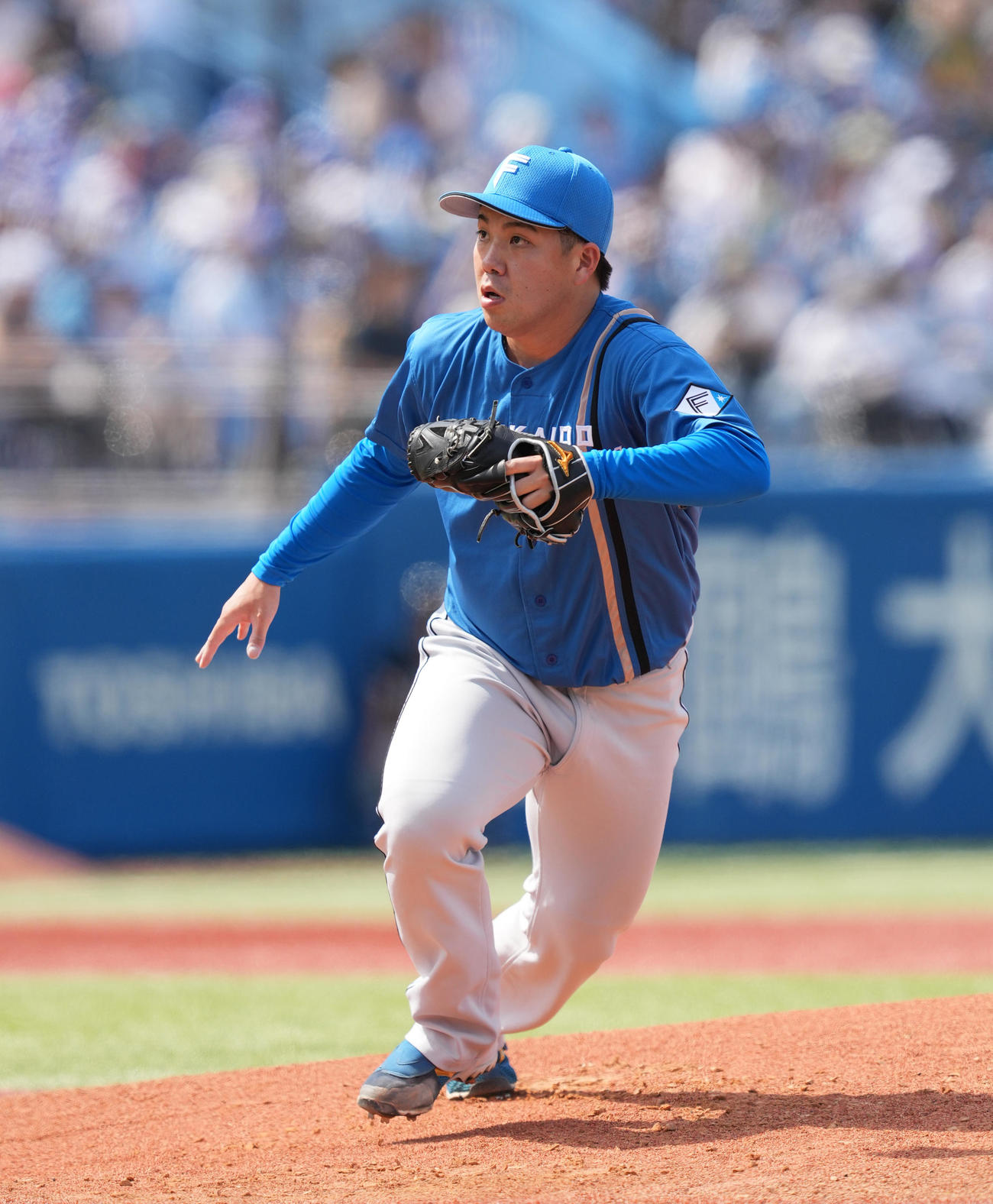 ヤクルト対日本ハム　日本ハム先発の金村（撮影・菅敏）
