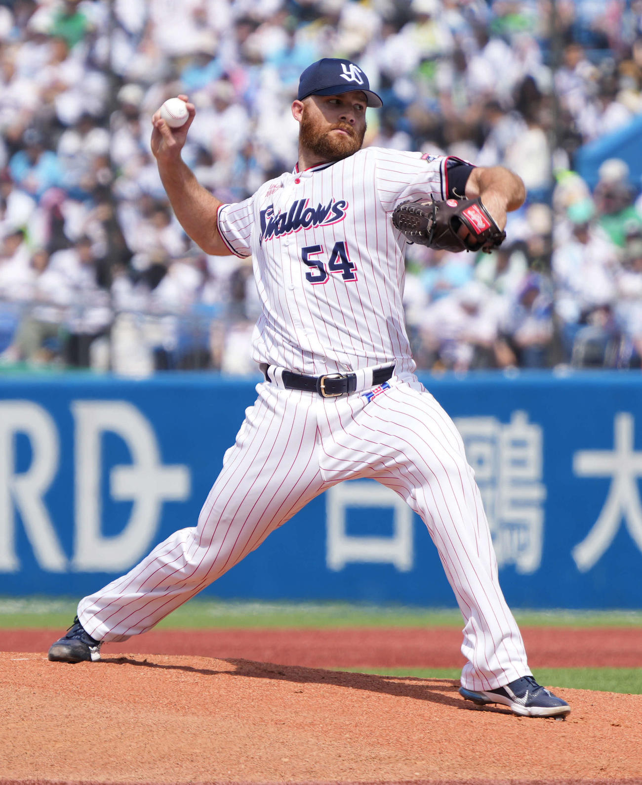 ヤクルト対日本ハム　ヤクルト先発のサイスニード（撮影・小沢裕）