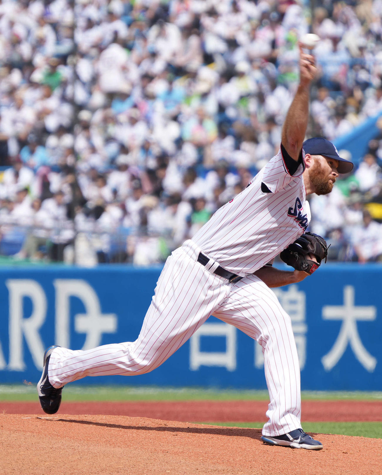 ヤクルト対日本ハム　ヤクルト先発のサイスニード（撮影・小沢裕）