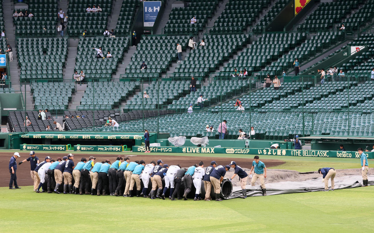 阪神対西武　グラウンドのシートを巻き上げる阪神園芸の職員ら（撮影・加藤哉）