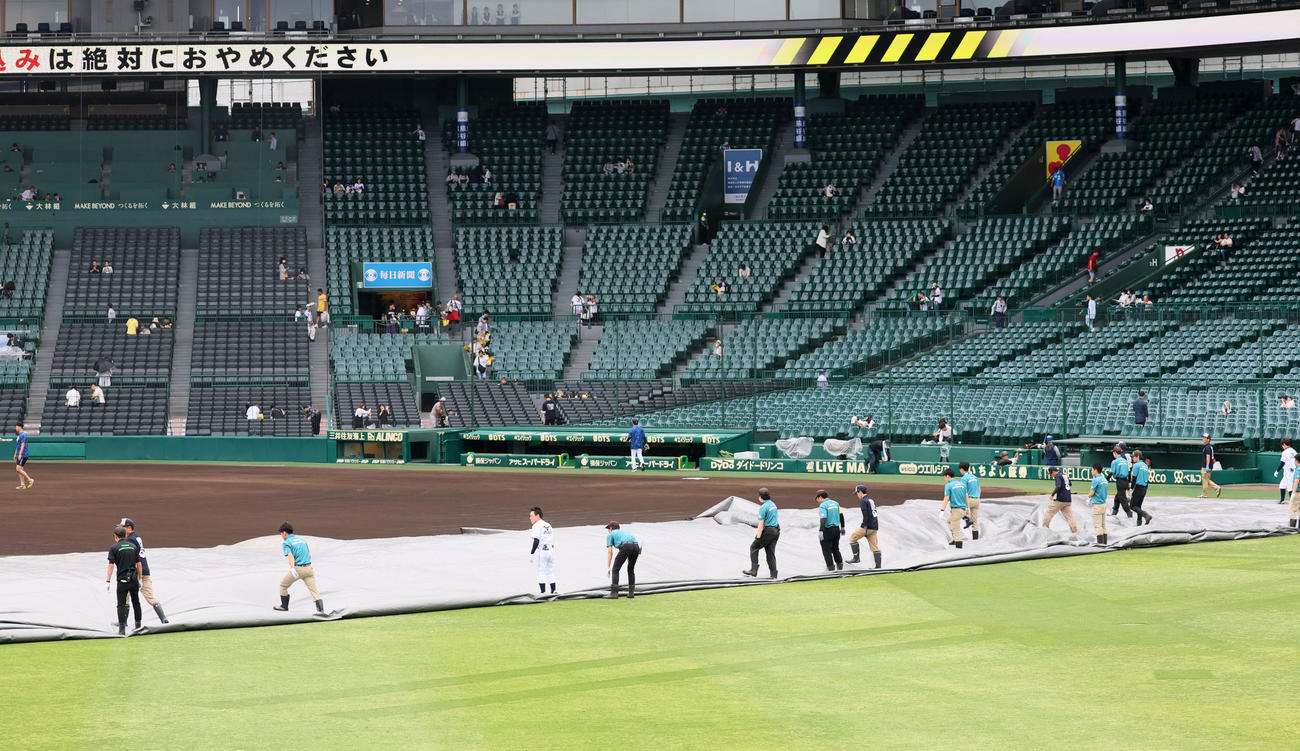 阪神対西武　グラウンドのシートを巻き上げる阪神園芸の職員ら（撮影・加藤哉）